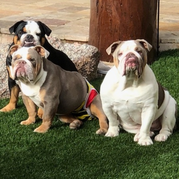 Meet your Posher, Marylyn - Picture 1 of 1